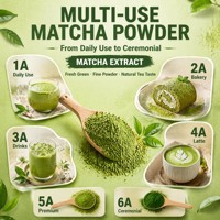 Poudre de Matcha 100g Sachet Échantillon Qualité Culinaire 800 Mesh pour Commandes d'Essai Petites Entreprises