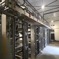 Nouvelles cages à batterie pour l'engraissement des poulets de chair – Cage automatique en acier de type H pour l'élevage avicole