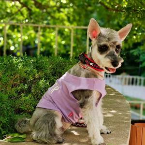 Truelove, venta al por mayor, transpirable, de liberación rápida, <span class=keywords><strong>Collar</strong></span> para mascotas, cómodo, hebilla reflectante, acolchado, moda, <span class=keywords><strong>Collar</strong></span> de perro de nailon ajustable - Product Image 6