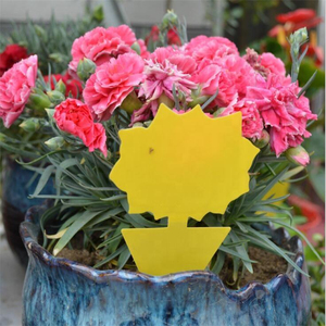 Hot Sale Yellow Sticky <b>Traps</b> Fruit Fly Gnat Insect Catcher Plant Protection Non Toxic Adhesive Glue Board Wholesale - Product Image 4