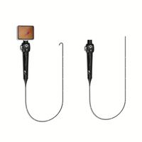 Caméra d'endoscope flexible, nasopharyngoscope, laryngoscope, bronchoscopie, cystoscope, otoscope, endoscope 2.8/3.8/4.8/5.8 mm