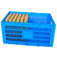 Boîte de rangement pour œufs en plastique JOIN, ventilée, pliable, pliable, bac de rangement pour œufs