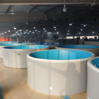 Piscine gonflable pour usage extérieur, facile à transporter, prix direct usine, idéale pour les vacances, la détente et les loisirs
