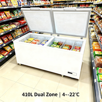 Congélateur coffre à marque privée, congélateur profond 200L, congélateur commercial à ouverture par le haut pour les petites entreprises en démarrage