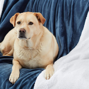 Bán Sỉ Chăn Nhung Lông 100% <span class=keywords><strong>Polyester</strong></span> Ấm Áp Thoải Mái Sang Trọng Tùy Chỉnh Chăn Lông Cừu Sherpa Siêu Mềm Cho Mùa Đông - Product Image 6