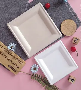 Tek kullanımlık yemek tabağı kare plaka kağıt toptan barbekü piknik el yapımı boyama tepsisi 10 inç Bagasse parti seçimi