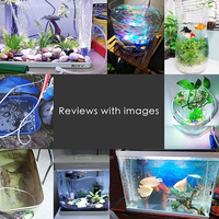 Mini pompe à Air USB pour Aquarium, Ultra silencieuse, haute économie d'énergie, pompe à Air à oxygène Nano, accessoires 12V, Kit pour Aquarium