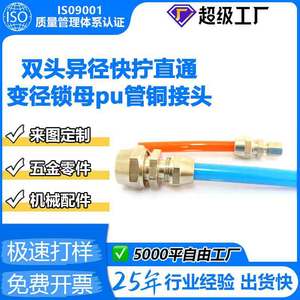 Nissin Double-ended Reducing <b>Quick</b> Connect Copper <b>Connector</b> Brass Plug In Adapter For PU Tube - Product Image 5