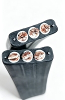 Verzinntes Kupfer Silikon-Isoliertes & Silikon-Ummanteltes Flexibles Flachstromkabel für Deckenkräne