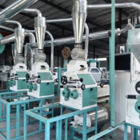 Usine de transformation de farine de maïs, broyage automatique avec système de transport aérien