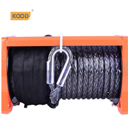 Treuil de voiture à grande vitesse 12000lbs 13500lbs 12V 24V Carton nouveau palan à main au détail pour diverses industries