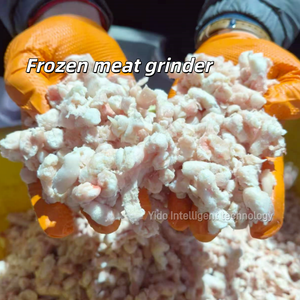 Broyeur à viande congelée industriel CE SUS304, machine à hacher la viande pour saucisses, chorizo, hamburgers, machine de transformation de la viande - Product Image 2