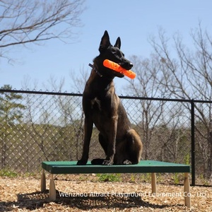 <span class=keywords><strong>Parque</strong></span> de juegos <span class=keywords><strong>para</strong></span> <span class=keywords><strong>perros</strong></span> y gatos |   Centro de Juegos al Aire Libre <span class=keywords><strong>para</strong></span> Áreas de Mascotas - Product Image 5