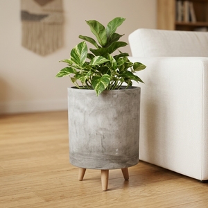 Jardinière au sol <span class=keywords><strong>en</strong></span> fibre de verre, style nordique moderne et minimaliste, avec pieds <span class=keywords><strong>en</strong></span> <span class=keywords><strong>bois</strong></span>, grand pot à fleurs avec trou de drainage pour la décoration de la maison et du jardin - Product Image 6