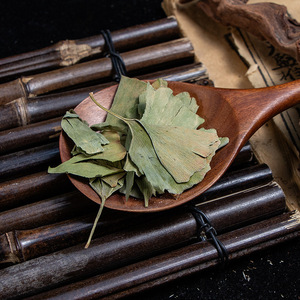 Yin Xing Ye, l'herbe traditionnelle chinoise FOLIUM <span class=keywords><strong>GINKGO</strong></span>, <span class=keywords><strong>feuille</strong></span> séchée <span class=keywords><strong>de</strong></span> <span class=keywords><strong>Ginkgo</strong></span> biloba - Product Image 4