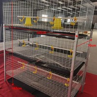 Cage verticale en acier galvanisé en forme de H empilée pour poulets de chair nouvelle condition poulailler ferme oiseau couche batterie Cages