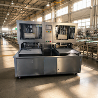 Machine de remplissage semi-automatique à double tête pour sachets BIB aseptiques, pièces humides en acier inoxydable 304 pour œufs liquides