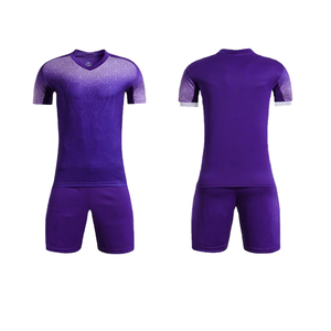 新シーズン 大人用サッカーユニフォーム トップクオリティ チームユニフォーム フットボールシャツ 24/25 全ロゴ入り - Product Image 1