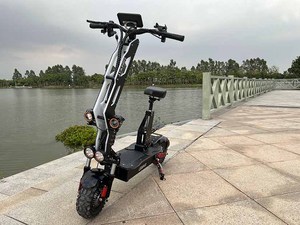 Trottinettes électriques Liideway 11 pouces, puissantes, pour adultes, avec siège, tout-terrain - Product Image 2
