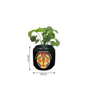 Soporte para plantas, maceta decorativa elegante para interiores, maceta negra para mesa, decoración del hogar, escritorio de oficina, decoración para sala de estar - Product Image 2