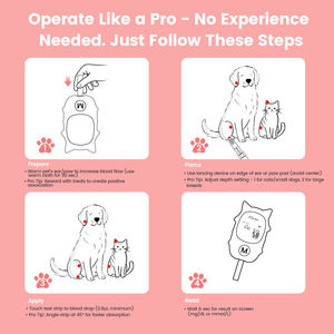 <span class=keywords><strong>Kit</strong></span> de soins du diabète canin portable et réutilisable, sélectionné par des vétérinaires, faible MOQ, pour le diagnostic et les injections sécurisées, outil fiable de test de glycémie - Product Image 3