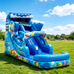 Toboggan aquatique gonflable combiné avec <span class=keywords><strong>piscine</strong></span> pour fêtes de jardin, événements extérieurs et château gonflable commercial - Product Image 4