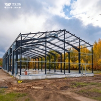 Almacén de Estructura Metálica de Gran Envergadura y Ahorro de Espacio, Nave Industrial de Acero, Diseño Industrial Optimizado