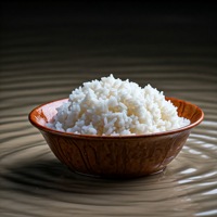 Riz instantané blanc à grain long de haute qualité du fournisseur chinois Nourriture adaptée aux voyages Simplement tremper l'eau bouillante Aucun feu requis