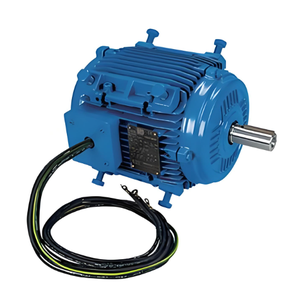 Original WEG <b>Motor</b> W20 W21 for <b>Fans</b> <b>Motor</b> Three Phase 380v 50hz 60hz IP55 7.5kw/11kw/15kw Price - Product Image 2