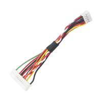 OEM kualitas tinggi TJC8 harnes kabel DP2.0MM 2*15P kabel Terminal 4 Pin kawat kustom pabrik kustomisasi langsung