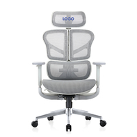 Milieu Du Dos Support Lombaire Fauteuil Visiteur Personnel De Travail Exécutif Ergonomique Chaise De Bureau