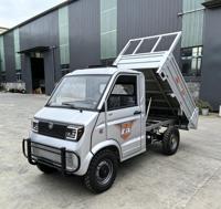 Camionnette électrique hybride Thunder Mini 4 roues, modèle d'exportation démonté CKD SKD, véhicule de transport de marchandises avec benne basculante hydraulique