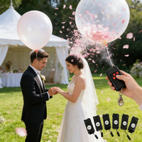 Détonateur de Confettis Volants pour Cérémonie de Mariage, Sûr, 2 Télécommandes, 8 Patches, Sans Flamme, pour Célébrations d'Événements
