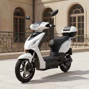 Scooter de livraison de haute qualité, homologué CEE, 1000 W, 48 V, à vendre - Product Image 4