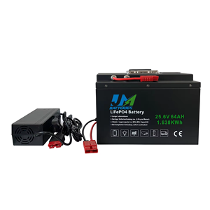 24V 25.6V Lifepo4 Batterie Packs Lithium 100Ah 200Ah Lifepo4 LFP Batterie pour Solaire RV Caravane Marine Trolling Camper Van - Product Image 1