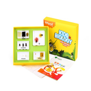 Gelsonlab HSKS-1719 Piccolo granchi e granchi eremita in riva al mare Incorporato biologico campioni Insegnamento incorporato campioni - Product Image 4