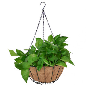 Panier à fleurs suspendu en fibre de coco, rond, avec chaîne en fer, pour la décoration de balcon - Product Image 2