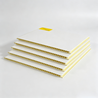 Plaque de plafond en PVC blanc simple, résistante à l'humidité et ignifuge, pour usage extérieur, hôtelier, résidentiel et commercial