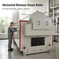 Chaudière à vapeur horizontale à biomasse et charbon de bois 3,8 T/h, automatique, haute pression, à tubes d'eau, pour usage industriel