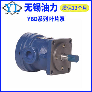 Pompe à palettes hydraulique série YBD haute pression, tête de pompe à huile hydraulique en tailles 6.3/10/16/20/25/32/40/63/80/100 pour applications hydrauliques - Product Image 2