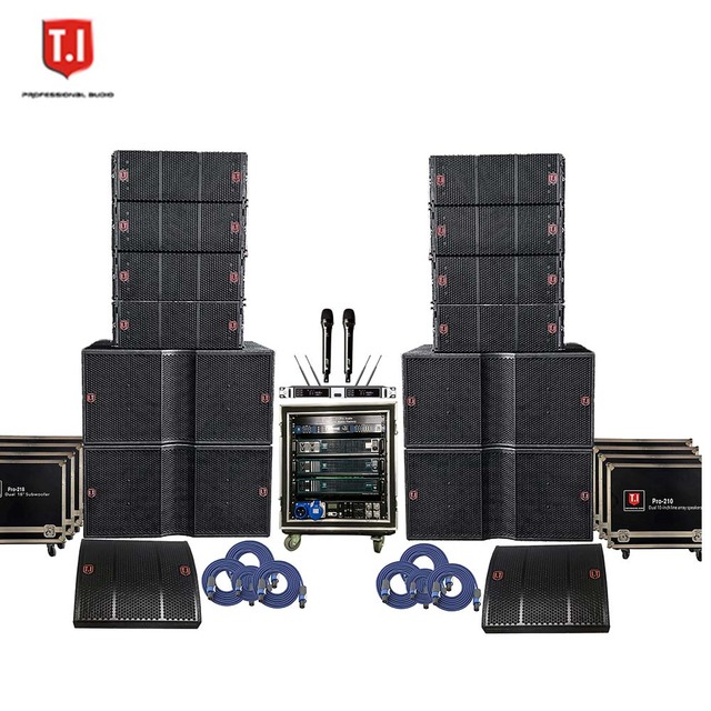 Pro-210 Dual 10" Inch 2 Way Sound Live Audio System Outdoor Sound System Empty Speaker Cabinets Line Array China Accessories