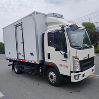 Подержанный грузовик SINOTRUK HOWO 4X2 для тяжелых грузоперевозок, 251-350 л.с., механическая коробка передач, стандарт выбросов Евро-2, задняя камера, длина грузового отсека 5,3-6,2 м.