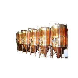 Fermenteur de bière en cuivre 500L 1000L réservoirs de fermentation de bière