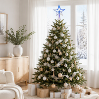 Großhandel LED Schillernder Stern Christbaumspitze OEM Kundenspezifisch USB-Betrieben Weihnachtsbaumschmuck Feiertagsdekoration Direkt ab Werk