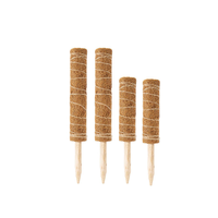 Support de Plantes Grimpantes Écologique et Minimaliste : Poteaux en Coco Détachables pour Plantes d'Intérieur