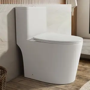 Toilet satu bagian standar Flush ganda dengan Tinggi jok Yang Nyaman kuat senyap Dual Flush pemasok toilet Modern