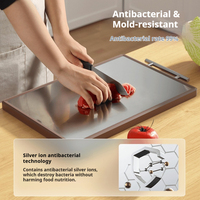 Planche à découper rectangulaire en acier inoxydable double face, antibactérienne, anti-moisissure, écologique, compatible lave-vaisselle, épaisseur 2,0 cm, adhésive