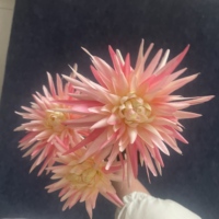 Chrysanthème artificiel de qualité supérieure pour décoration de cercueil et de tombe, fleur à 3 têtes, faux tige unique, vente en gros