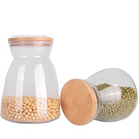 Vente en gros de théière en verre borosilicaté de 500ml résistant à la chaleur théière à motif de nouvelles feuilles avec filtre pour boissons théière en verre coloré