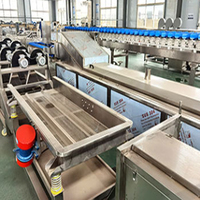 Éplucheur de patates douces automatique commercial Curcuma Gingembre Manioc Machine à éplucher les pommes de terre Carotte Machines à éplucher